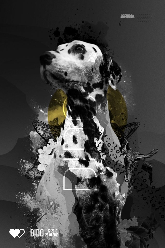 Ilustracion_Dido