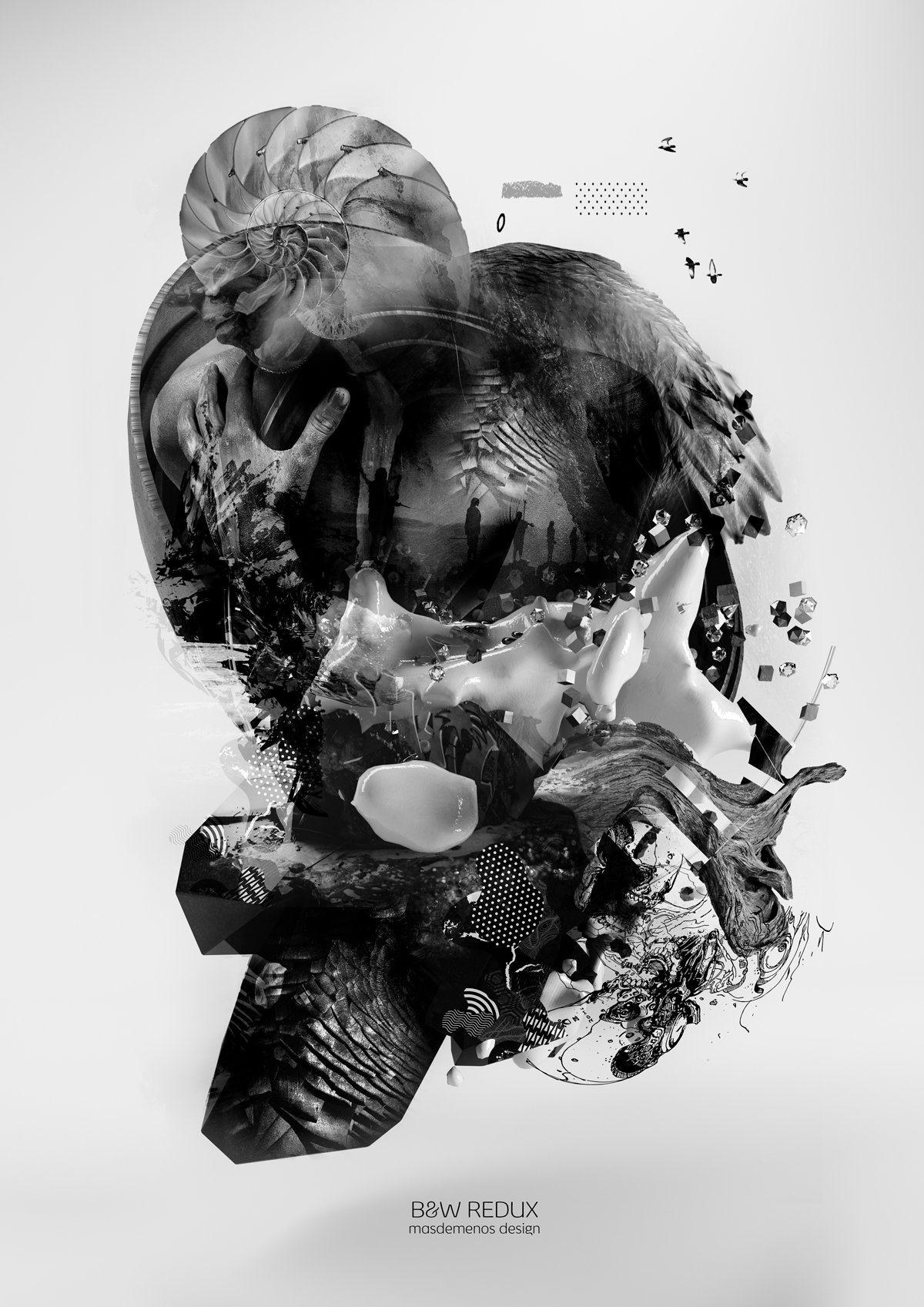 B&W_REDUX