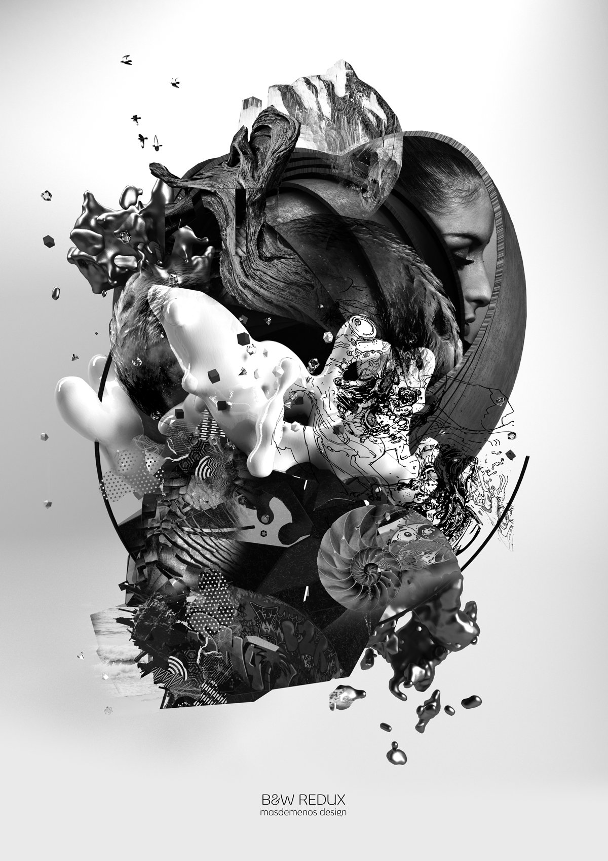 B&W_REDUX